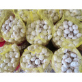 Fresh garlic vegetable 2021 new crop China garlic supply from Chinese wholesale garlic ajo alho supplier